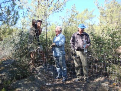 Fence Building HHC